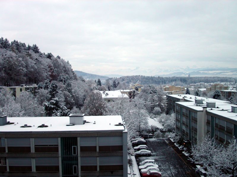 Winter on Lngfeldstrasse